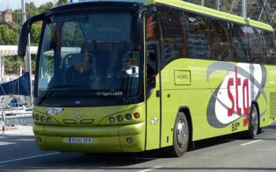 Curiosidades sobre los autobuses [que te encantará conocer]