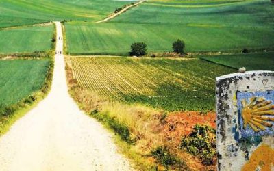 Camino de Santiago: Todo lo que debes saber antes de emprender el viaje