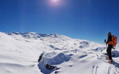 Ir en autobús a Sierra Nevada en cualquier época del año